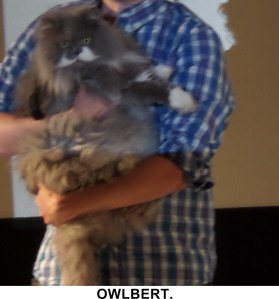 SAMSUNG CAMERA PICTURES